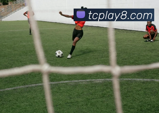 天辰娱乐官网发展历程