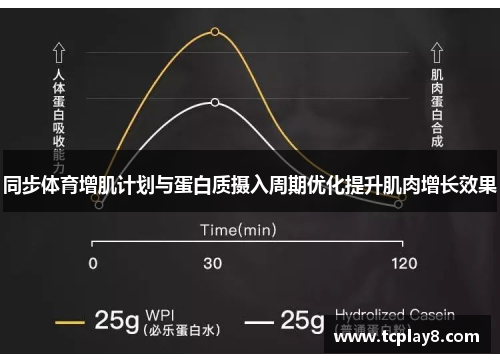 同步体育增肌计划与蛋白质摄入周期优化提升肌肉增长效果